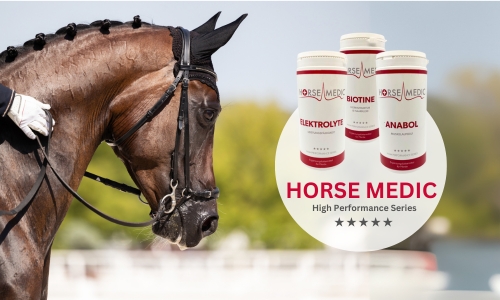 HORSE MEDIC Supplemente für Sportpferde