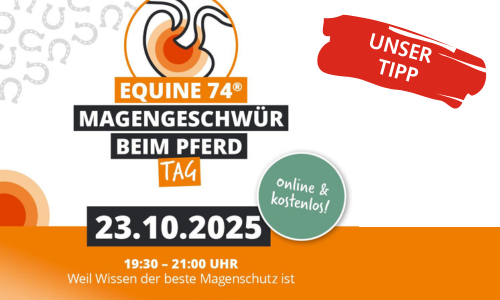 Equine74 webinar