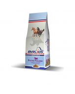 Balios NordStern Stuten- und Fohlenmix