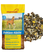 Marstall Fohlen Aktiv Müsli ab der 2. Lebenswoche. Getreidefrei & Magenschonend!