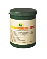 St. Hippolyt Magnesium B12 1kg 