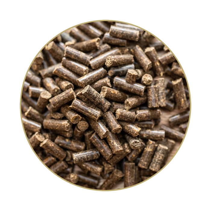 St.Hippolyt Glucogard - Complément Alimentaire Pour Chevaux - 3 Kg - Régulation Du Sucre Et Métabolisme