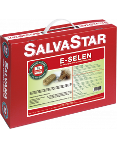Salvana Salvastar  E-Selen Bisquit 5kg
