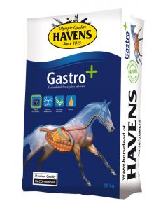 HAVENS Gastro 20kg