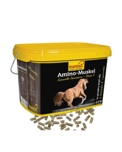 Amino-Muskel 3,5 kg Eimer, 10 kg Eimer