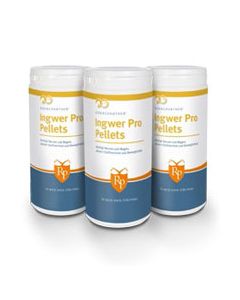 RidersPartner Ingwer Pro Pellets