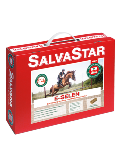 Salvana Salvastar  E-Selen Bisquit 5kg