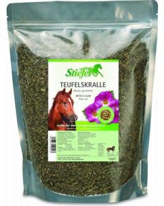 Teufelskralle