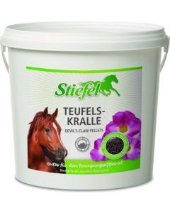Teufelskralle 