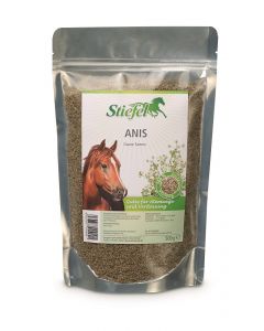 Anis 500g