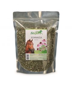 Echinacea 