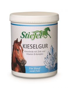 Kiselgur