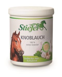 Knoblauch