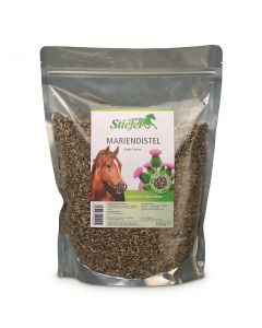 Mariendistel