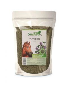 Thymian