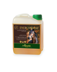 St. Hippolyt WES Energy Boost 5l 