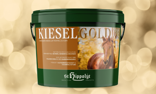 St. Hippolyt Kieselgold 4kg 10kg 25kg