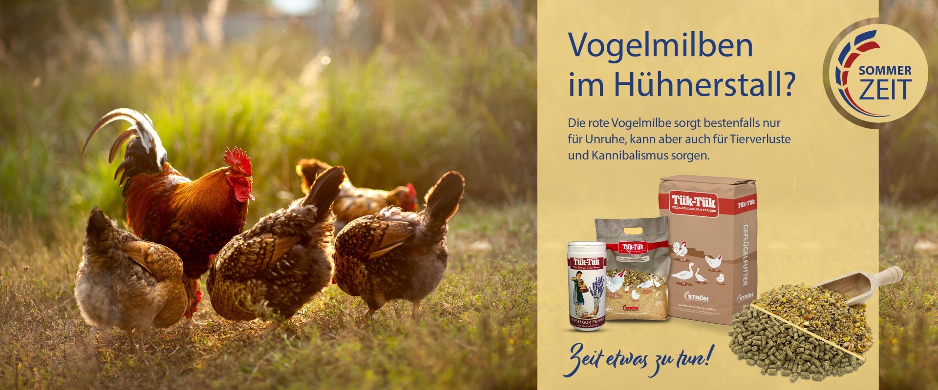 Zeit etwas gegen die rote Vogelmilbe zu tun