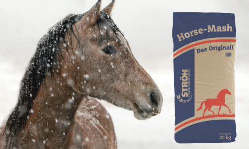 STRÖH Horse Mash für Pferde Winterfutter